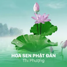 Hoa Sen Phật Đản