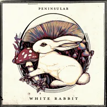 White Rabbit