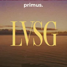 LVSG