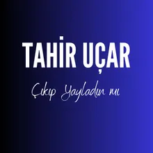 Çıkıp Yayladın mı