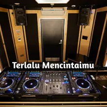 Terlalu Mencintaimu