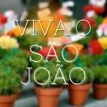 Viva o São João