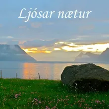 Ljósar nætur