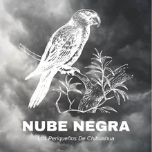 Nube Negra