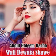 Wali Bewafa Shawe