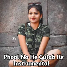 Phool Nohe Gulab ke Instrumental