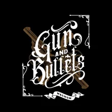 Gun and Bullets