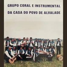 Sou Um Jovem Passarinho