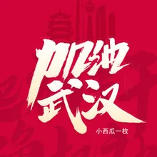 加油武汉