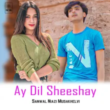 Ay Dil Sheeshay