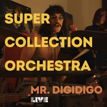 Mr. Digidigo