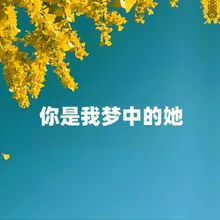 你是我梦中的她