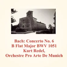 Concerto No. 6 B Flat Major BWV 1051 - 2 - Adagio Ma Non