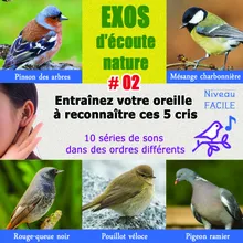 Exos d'écoute vol. 2 - SERIE G