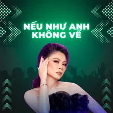 Nếu Như Anh Không Về