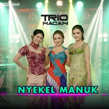 Nyekel Manuk