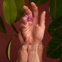 醒来折花