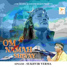 Om Namah Shivay