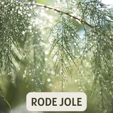 RODE JOLE