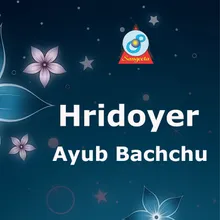 Hridoyer