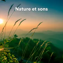 Nature et sons, pt. 4