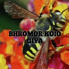 BHROMOR KOIO GIYA