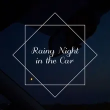 Rainy Night in the Car