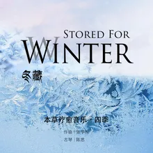 踏雪寻芳踪