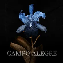 Campo Alegre