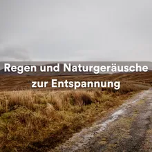 Naturgeräusche zum Schlafen, Pt. 5