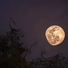 Noche de luna llena