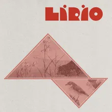 Lírio