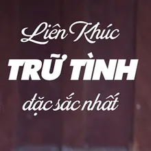 Tự Tình Quê Hương Short Version 2