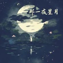 那一夜星月