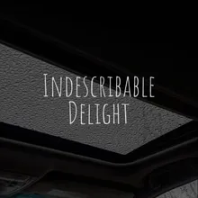 Indescribable Delight