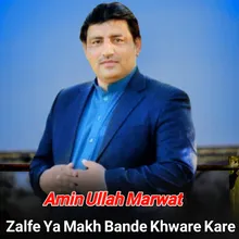 Zalfe Ya Makh Bande Khware Kare