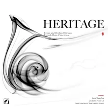 Horn Concerto in C Minor, Op. 8: Ⅰ-Ⅱ. Allegro moderato - Andante