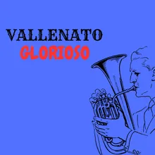 Vallenato grorioso