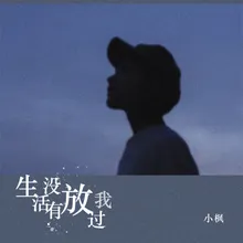 生活没有放过我