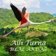 Allı Turna