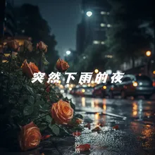 突然下雨的夜