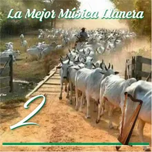 Cantos De Mi Tierra