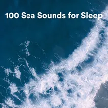 Calm Sea Sounds, Pt. 34