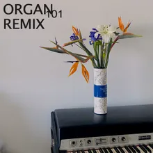 Organ 101