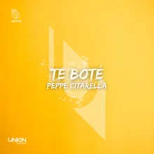 TE BOTÉ