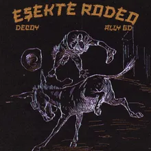 eşekte rodeo