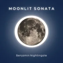Moonlit Sonata
