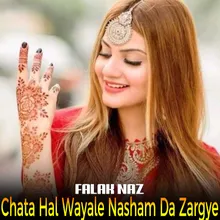 Chata Hal Wayale Nasham Da Zargye