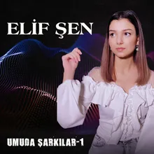 Sar Yarasını