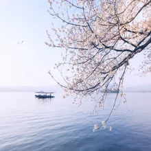 风雨后的彩虹